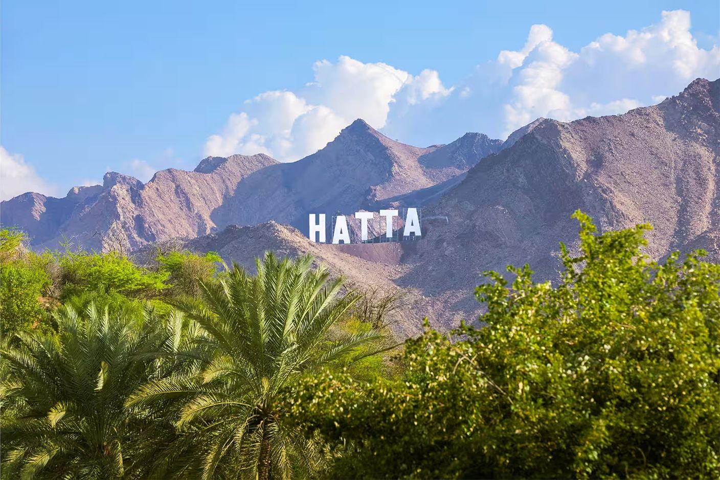 الامارات | "اللجنة العليا لتطوير حتّا" تعلن انطلاق الدورة الأولى من مهرجان حتّا الزراعي