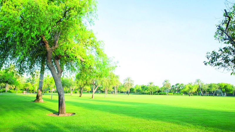 الامارات | «حديقة أم الإمارات»: أنشطة تعزّز الاستدامة في عطلة نهاية الأسبوع