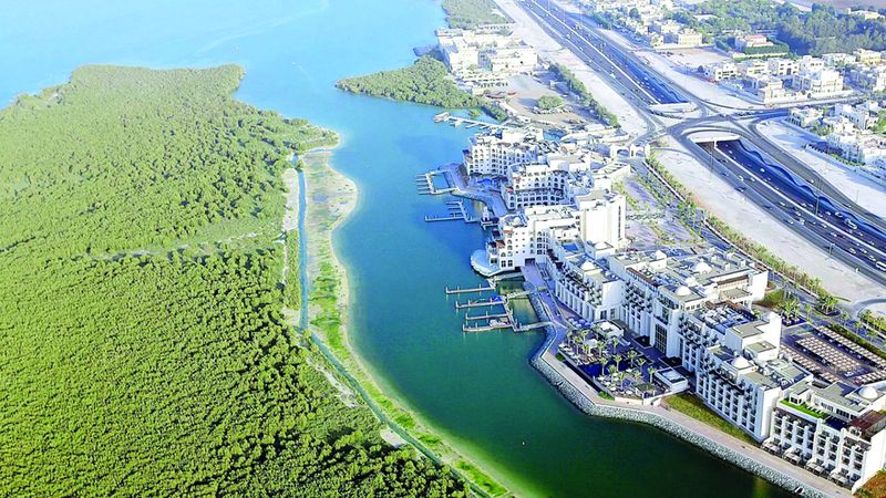 الامارات | منطقة القرم الشرقي.. رحلة فريدة بين 19 كيلومتراً من الأشجار