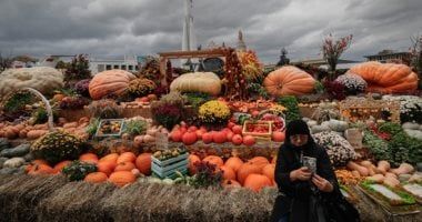 أسعار الخضراوات في الأسواق اليوم.. الطماطم بين 4.5 -7.5 جنيه