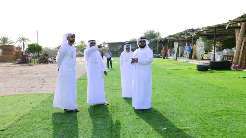 الامارات | جولات تفتيشية مكثفة لرصد التجاوزات والتعديات على المزارع في الشارقة