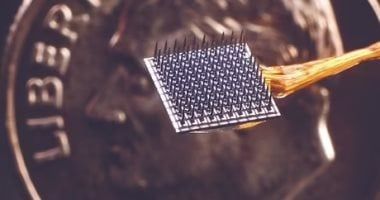 تكنولوجيا: شخص يطلب الشريحة الدماغية من شركة Neuralink لإنقاذ زواجه.. اعرف القصة