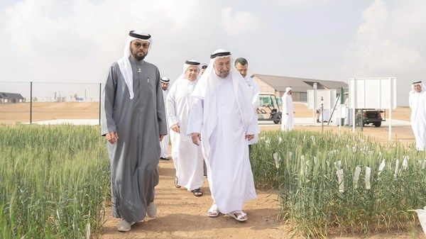 حاكم الشارقة يشهد حصاد الموسم الثاني لمزرعة القمح بمليحة