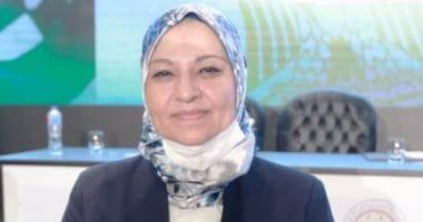 الكهرباء: انتهينا من تنفيذ مشروع الربط مع السعودية بنسبة 40%