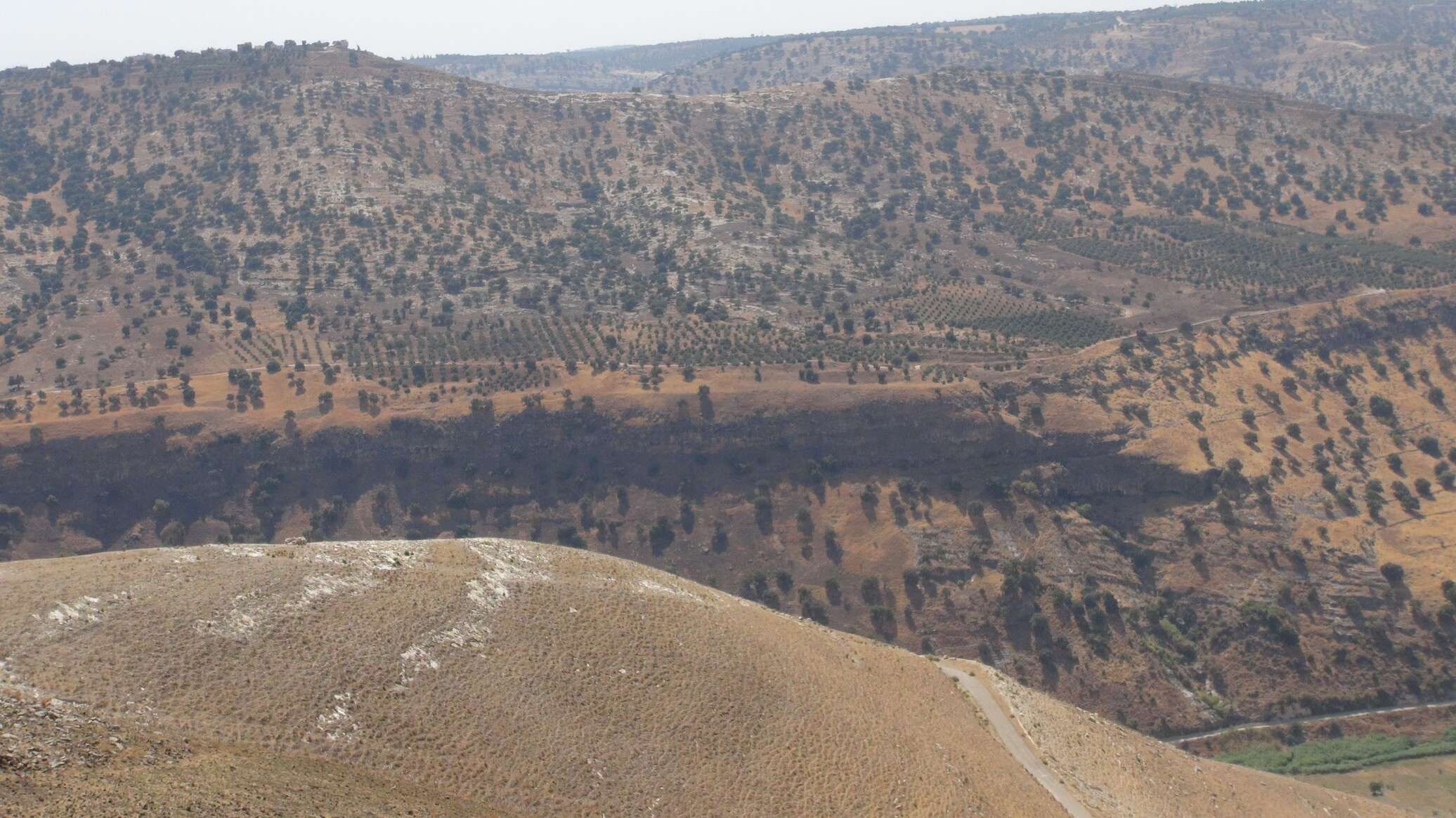 الجيش الأردني يعلن تنفيذ أكبر عملية إنزال مساعدات إلى قطاع غزة... فيديو