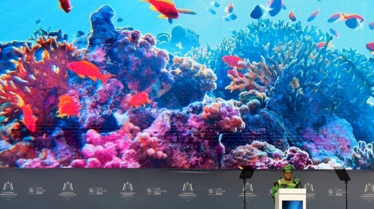 مفاوضات معقّدة حول الصيد والزراعة في مؤتمر منظمة التجارة العالمية