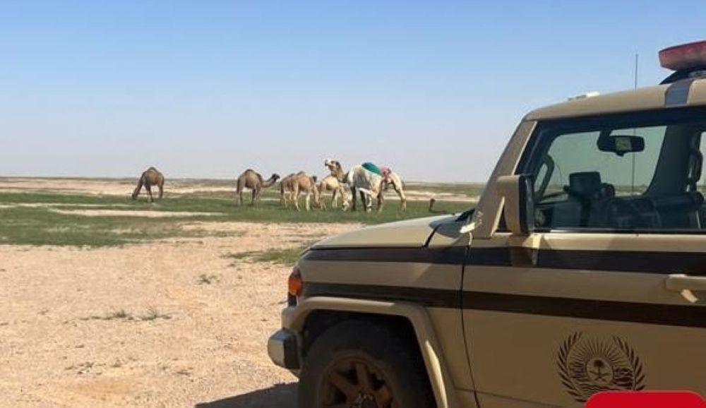 ضبط 5 مخالفين بالرعي في مناطق محظورة بمحمية الملك عبدالعزيز الملكية