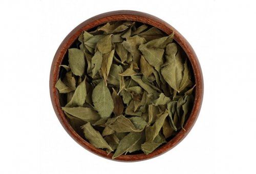 معلومة بمليون جنيه .. عشبة سحـرية تخفض السكر التراكمي .. أقوى مرة من قوة إبرة الانسولين