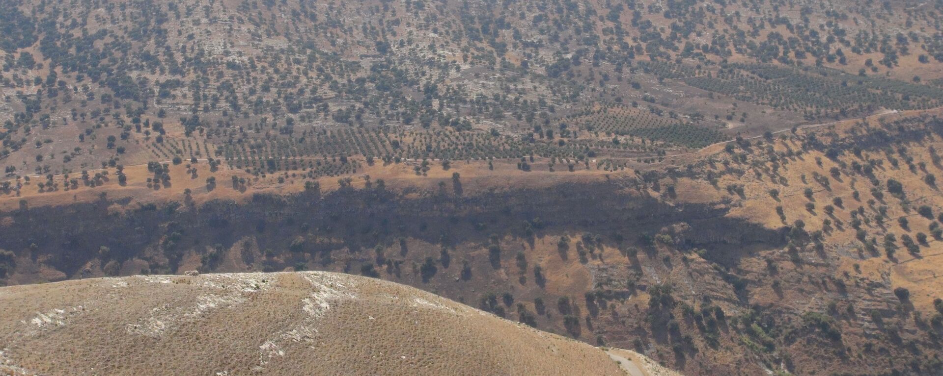 بعد استقالة الحكومة والحديث عن هدنة في غزة.. هل ثمة صفقة دولية من أجل فلسطين؟