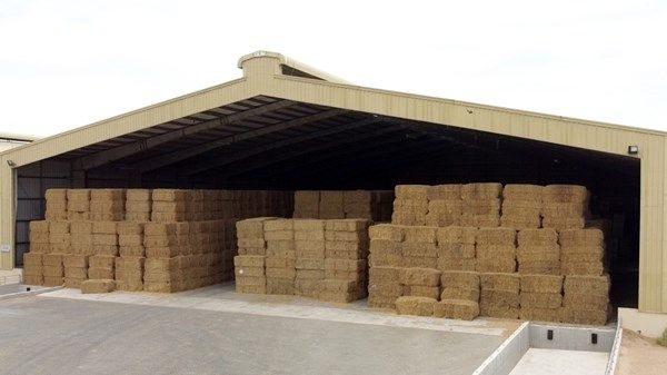 «أبوظبي للزراعة» تفتح سوق الأعلاف لمربي الثروة الحيوانية المسجلين