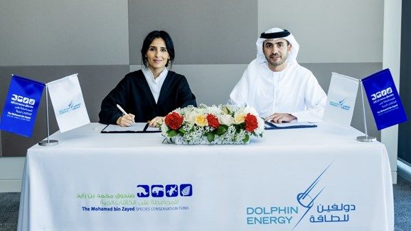 دولفين للطاقة المحدودة وصندوق محمد بن زايد يتعاونان لحماية الكائنات الحية المهددة بالانقراض