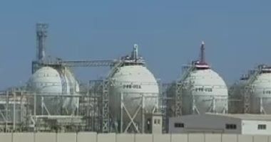 انتهاء تنفيذ مشروع إنتاج الألواح الخشبية متوسطة الكثافة "MDF" قريبا