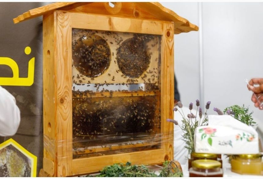 بمشاركة 30 نحال .. انطلاق "مهرجان العسل والسمن"  ببني مالك