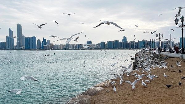 غداً.. ارتفاع تدريجي بدرجات الحرارة