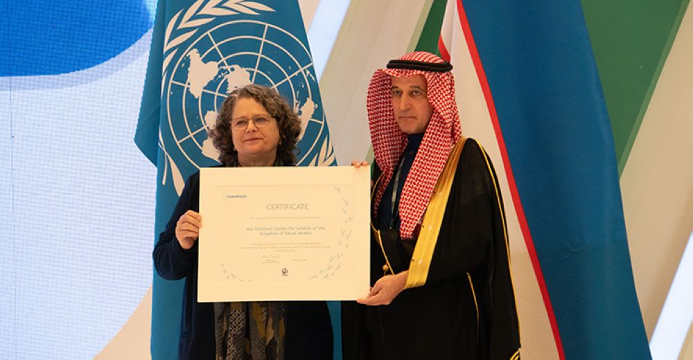 السعودية تحصد جائزة "الريادة" في المحافظة على الأنواع المهاجرة من الحيوانات الفطرية