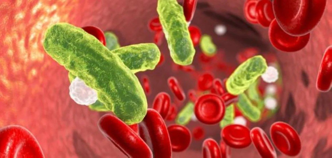 دواء ضد “الكوليسترول” يُقلل ملوثات الدم