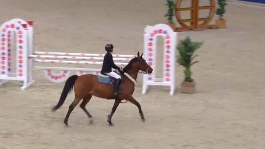 الخليج اليوم .. شاهد.. لحظة سقوط نجل أمير قطر من ظهر الجواد