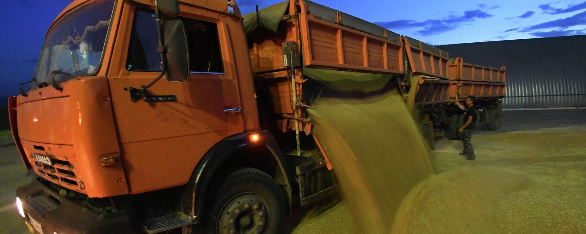 مصر تعلن عن دخول 4 ملايين فدان من الأرض الزراعية الخدمة خلال عامين