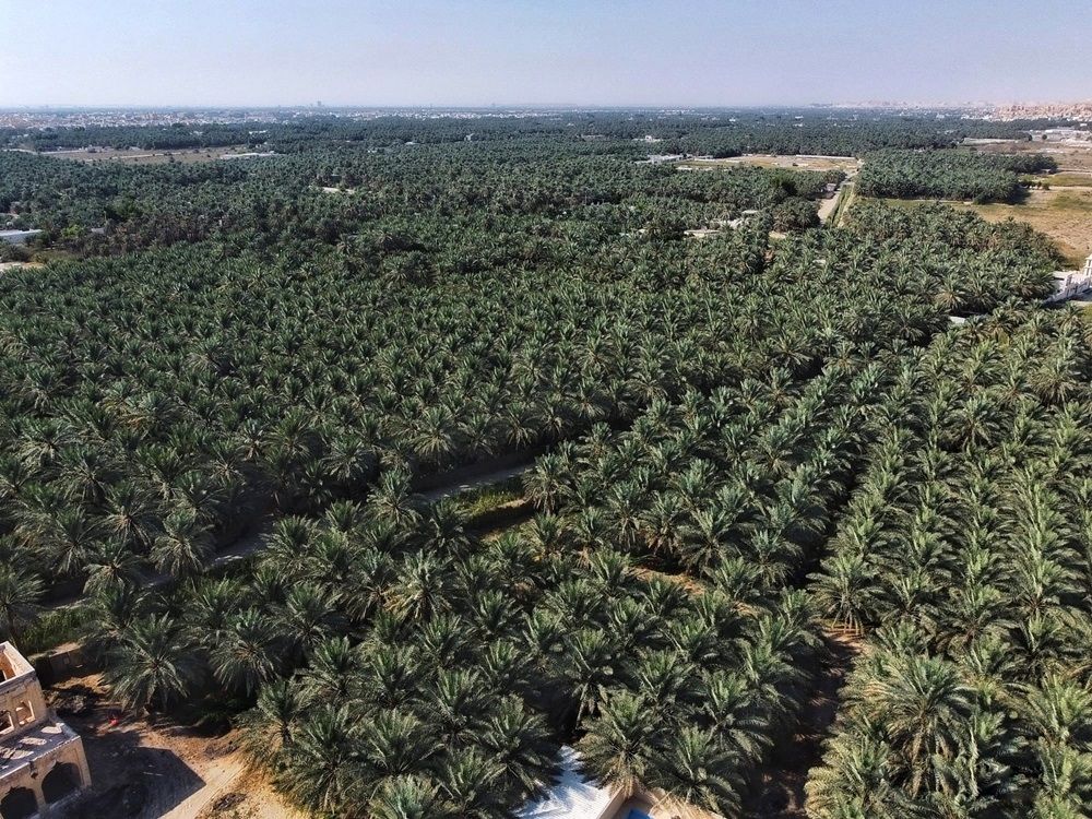 اتفاقية شراكة لتشغيل 3 منتجعات في وجهة سياحية زراعية بالأحساء