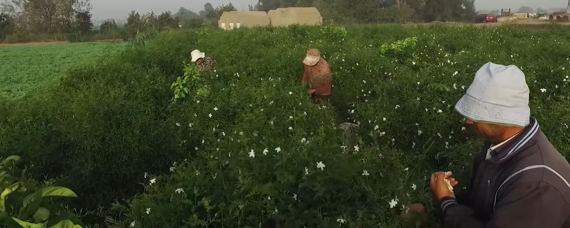 الخارجية المصرية: اتفاقية إثيوبيا للنفاذ إلى البحر الأحمر تهدد سيادة الصومال