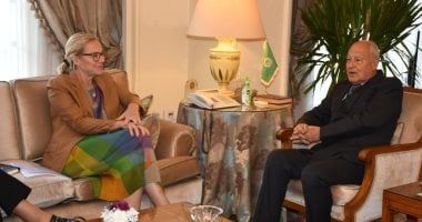 أبو الغيط: حرمان الفلسطينيين من المساعدات قرار بالإعدام