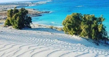 مشروع رأس الحكمة فرصة ذهبية للمشروعات الصغيرة للاستحواذ على 30 مليار دولار