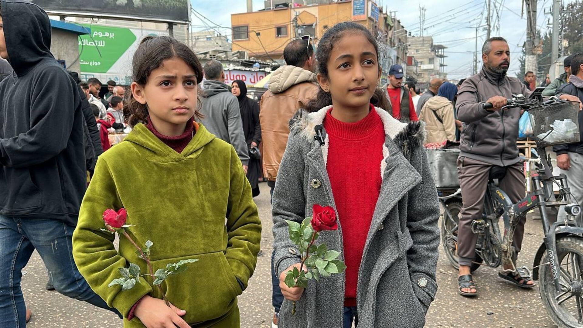 بائع الورد في رفح يرسم الابتسامة والأمل على وجوه الفلسطينيين في ظل الحرب بائع الورد في رفح يرسم الابتسامة والأمل على وجوه الفلسطينيين في ظل الحرب - الخليج 365 عربي, 1920, 05.03.2024