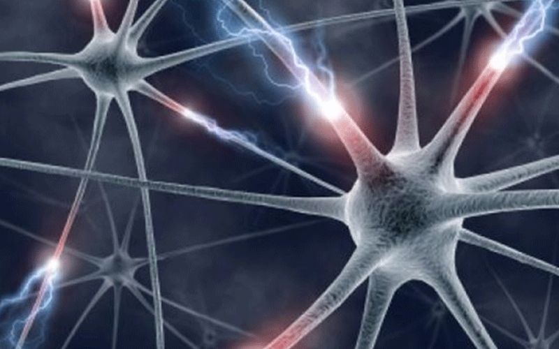 الامارات | أغذية تساعد على تجديد الخلايا