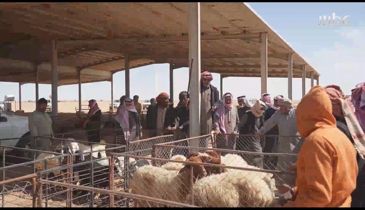 مع اقتراب رمضان.. الإقبال الشديد وارتفاع الأسعار يقفزان بـ"ذبيحة رمضان" لأكثر من 2000 ريال