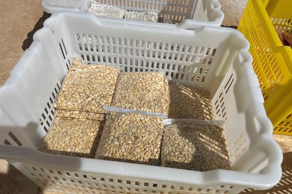 حملة "دينار لتجهيز سلة رمضان" في ليبيا... صور