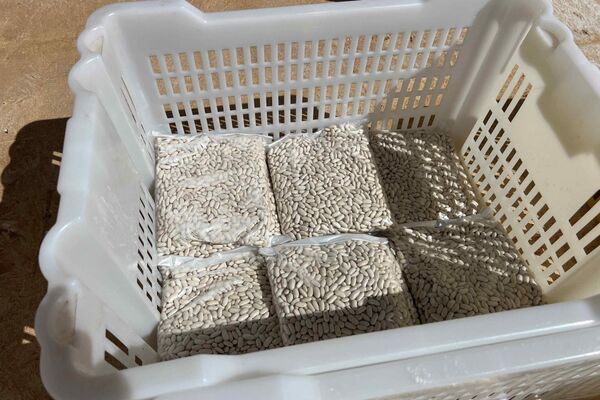 حملة "دينار لتجهيز سلة رمضان" في ليبيا... صور