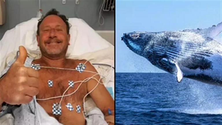 حوت يبتلع رجلًا حيًا بالكامل ثم يبصقة.. ولكن حدثت مفاجأة غير متوقعة