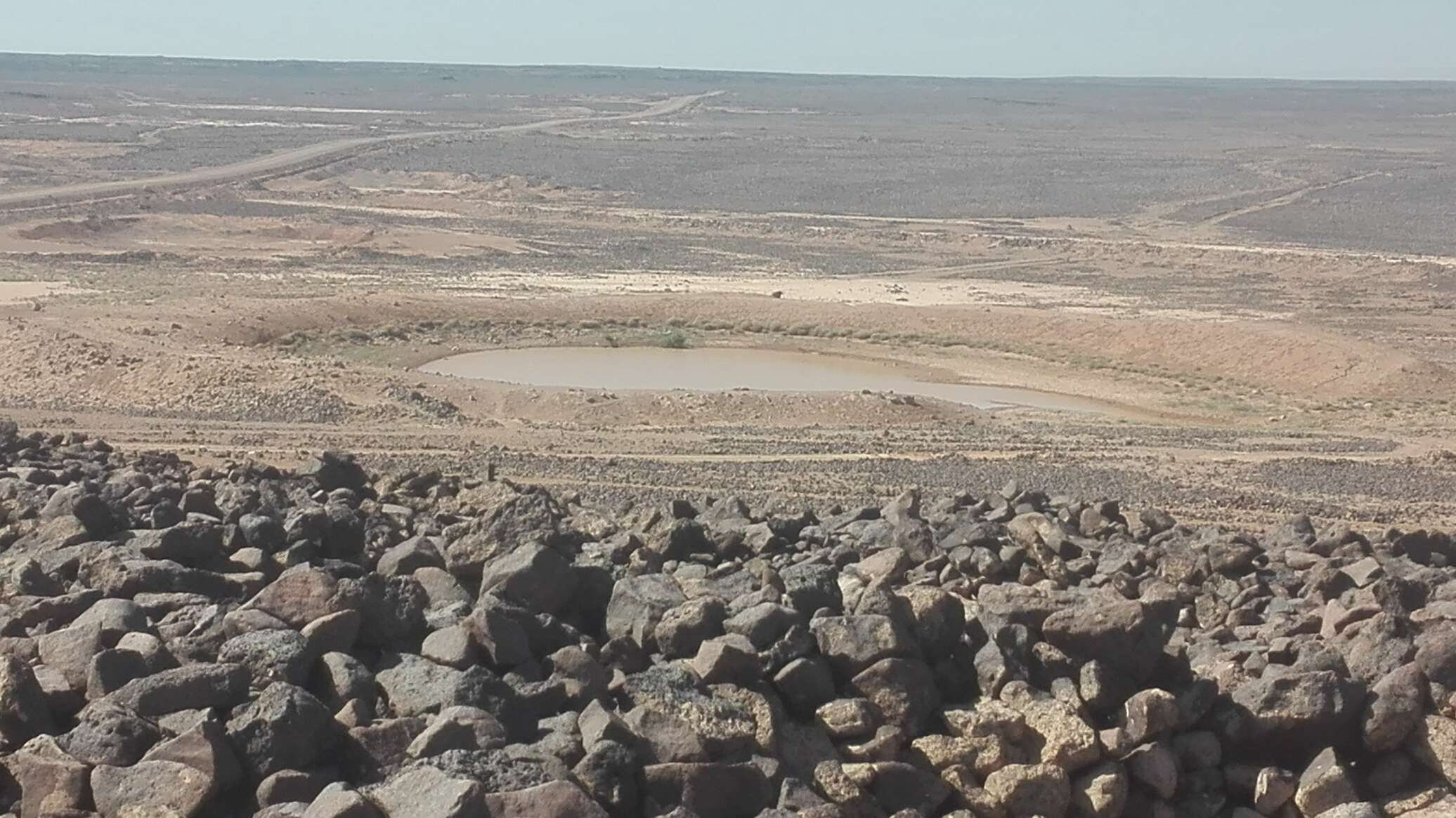 مقتل 6 سوريين بانفجار لغم أرضي أثناء جمع الفطر في البادية