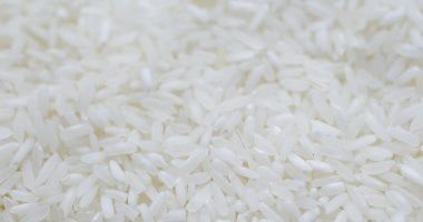 شعبة الأرز: تراجع الأسعار 15% فى الأسواق وسعر الكيلو من 31 لـ 34 جنيها