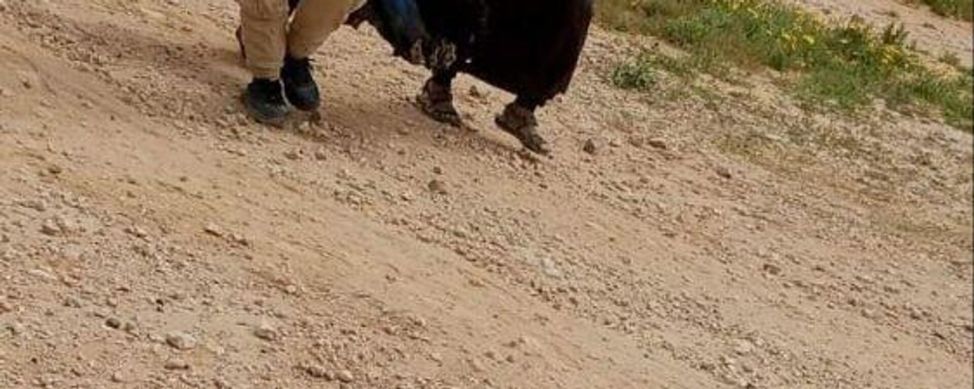 مصدر لـ"الخليج 365": استهداف القاعدة الأمريكية في حقل غاز "كونيكو" بريف دير الزور بطائرتين مسيرتين