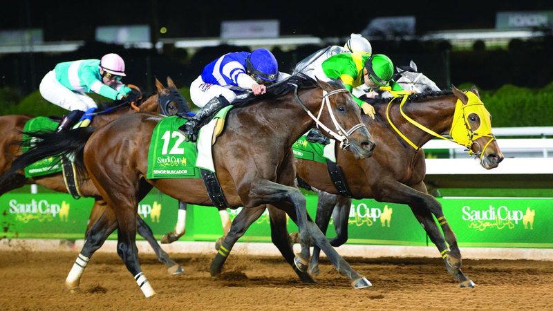 الامارات | 33 خيلاً «فئة أولى» في الطريق إلى كأس دبي العالمي