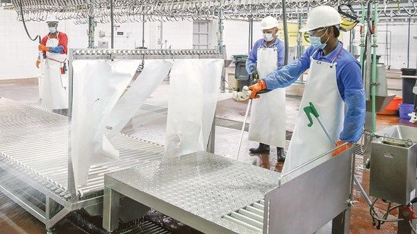 "البلديات والنقل": مسالخ أبوظبي جاهزة لاستقبال الشهر الفضيل