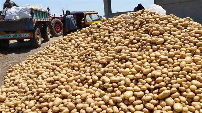 وزير الزراعة يبحث سبل تعزيز صادرات مصر من البطاطس