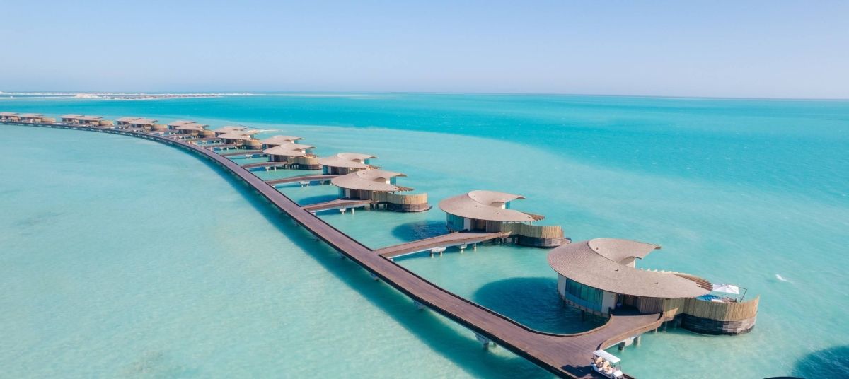 برنامج لتعزيز الأعشاب البحرية في وجهتي «البحر الأحمر» و«أمالا»