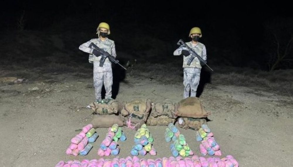 حرس الحدود يحبط تهريب 282 كيلوجرامًا من نبات القات المخدر بعسير