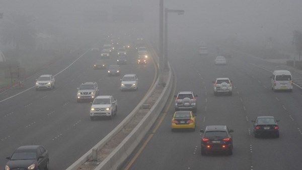 «الوطني للأرصاد» يحذر من تدني مدى الرؤية بسبب تشكل الضباب