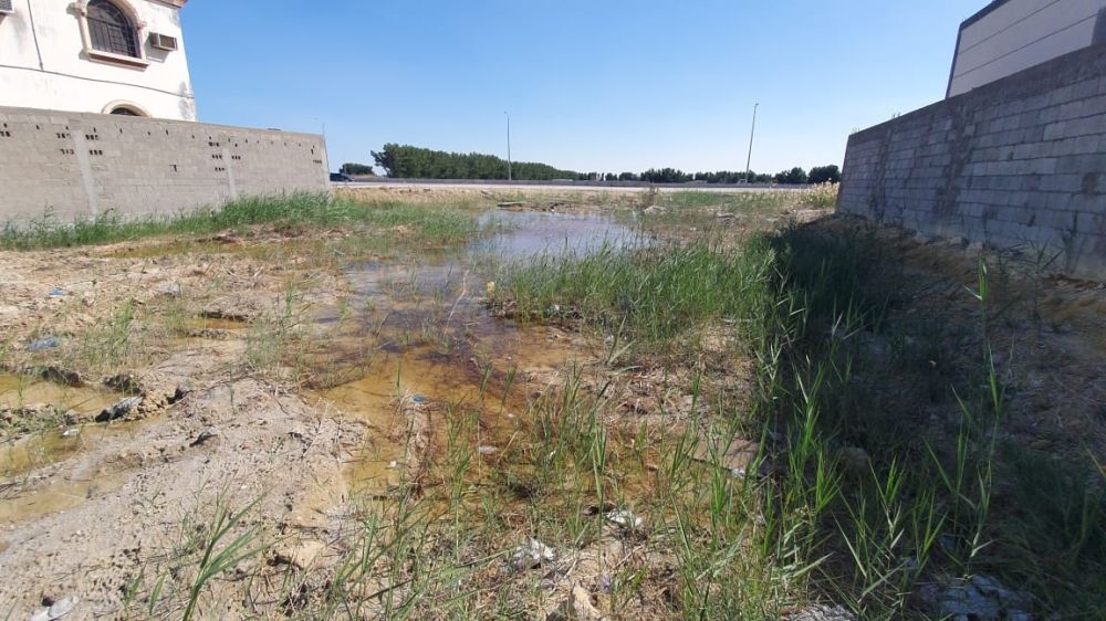 صور| استمرار معاناة أبو معن مع روائح الصرف الصحي.. و"المياه": المشروع قيد الطرح