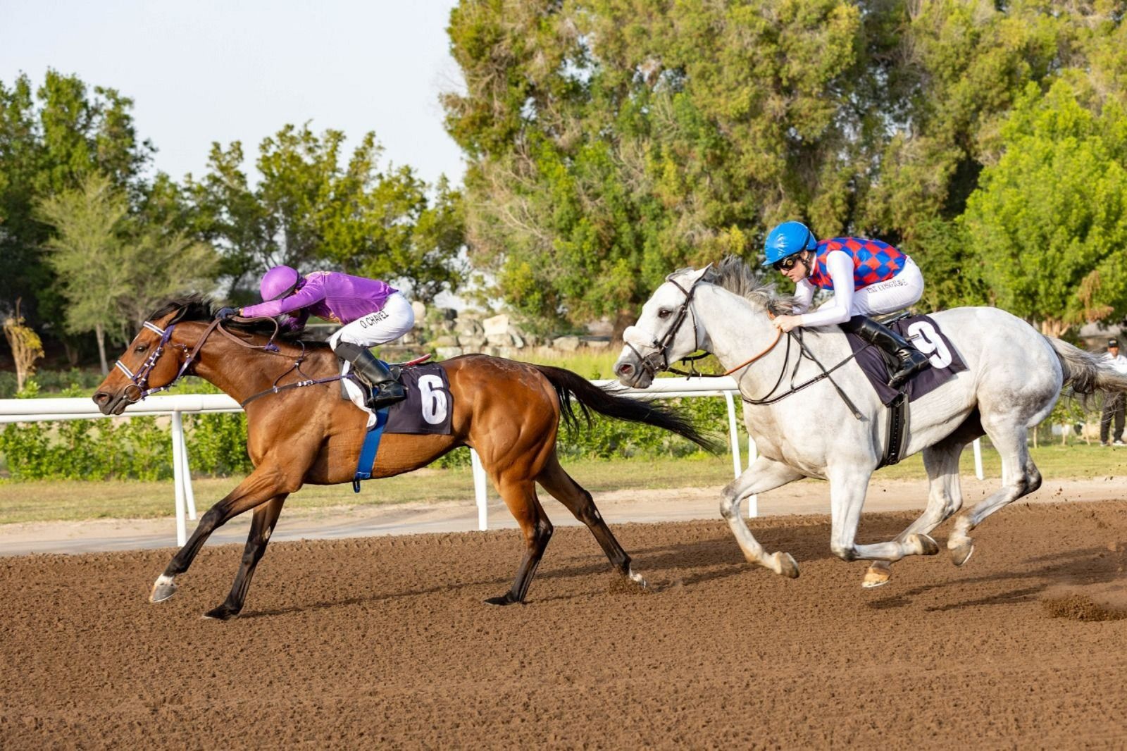 الامارات | "داراميثوس" يحتفظ بلقبه في "جبل علي ستيكس"