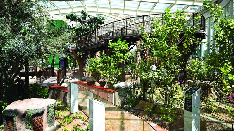 الامارات | 5 ملايين زائر للحديقة القرآنية في دبي