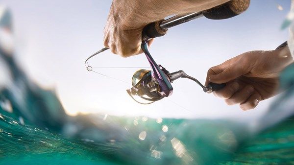 «بيئة أبوظبي» تصدر 4833 ترخيصاً للصيد الترفيهي