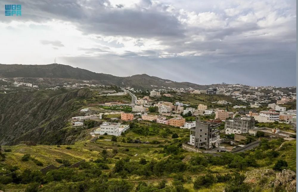 طرح 3 مواقع للاستثمار الزراعي في الباحة عبر بوابة فرص