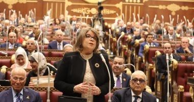 وكيل مجلس الشيوخ: الجمهورية الجديدة في عهد الرئيس السيسى تهتم بالعنصر البشرى