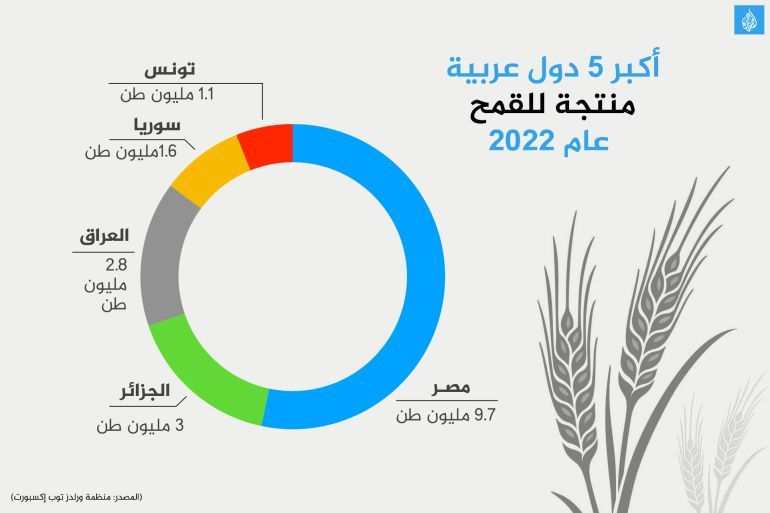 احصائيات دولية عن الدول المنتجة والمستوردة للقمح.. هذا موقف العراق منها