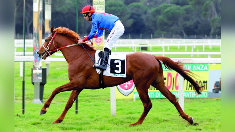 الامارات | «فلومنزيف» يزهو بكأس الوثبة في سان روسور