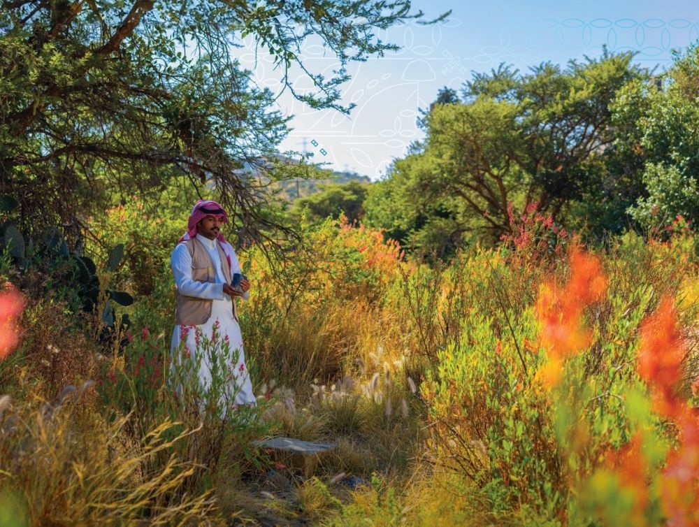 27 مارس.. مناسبة وطنية توعوية للاحتفال بـ"السعودية الخضراء"